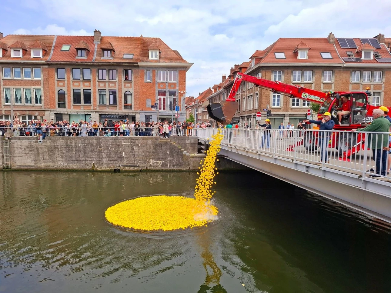 Mise à l'eau des canards